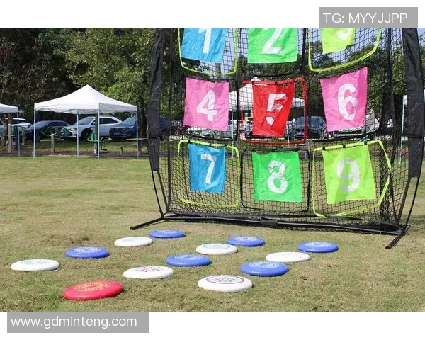 飞盘深度探索：揭秘北京飞盘队的战术转换与团队协作之道MBA