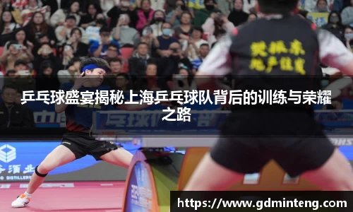 乒乓球盛宴揭秘上海乒乓球队背后的训练与荣耀之路