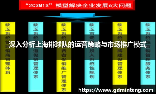 深入分析上海排球队的运营策略与市场推广模式